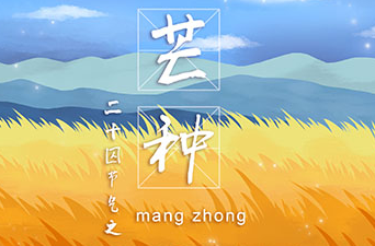在芒種這個(gè)節(jié)氣里我們要充實(shí)自己，迎接未來的挑戰(zhàn)